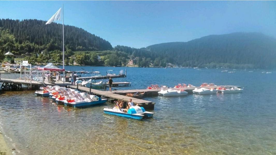 Apartmán La Perle Au Bord De La Riviere Gérardmer Exteriér fotografie