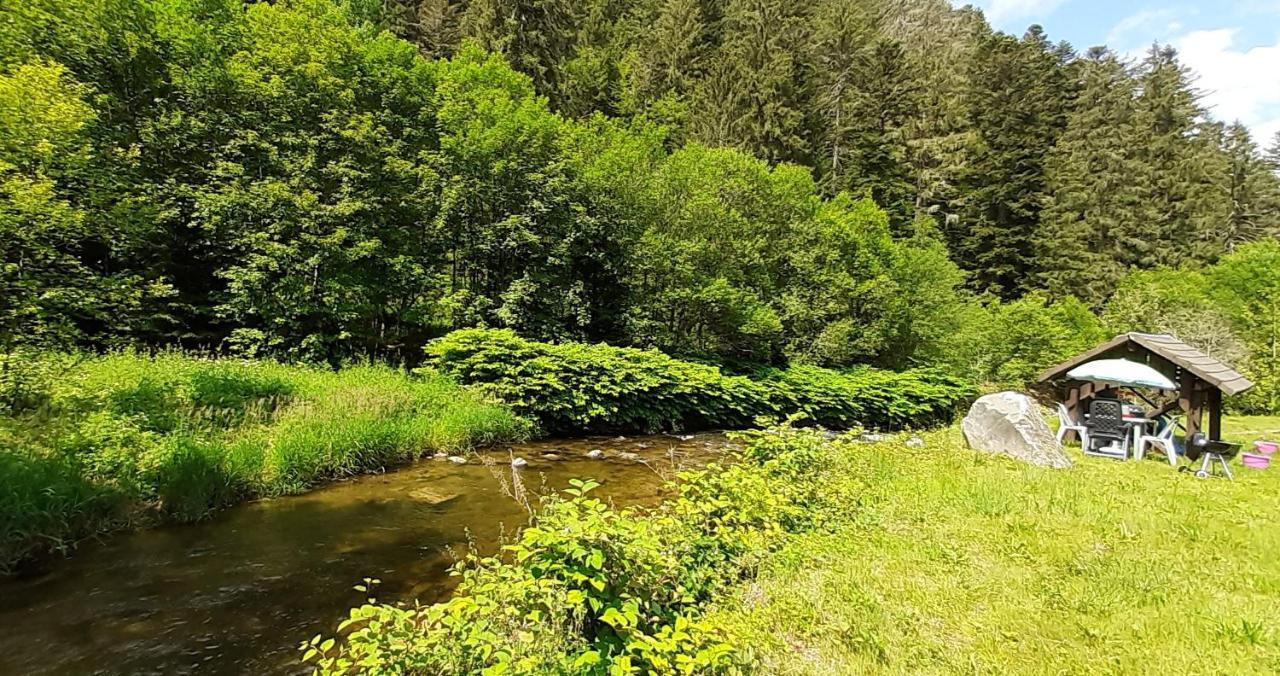 Apartmán La Perle Au Bord De La Riviere Gérardmer Exteriér fotografie