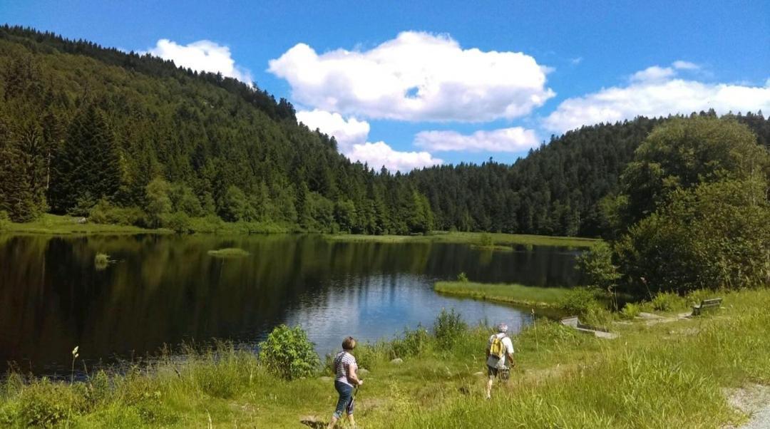 Apartmán La Perle Au Bord De La Riviere Gérardmer Exteriér fotografie