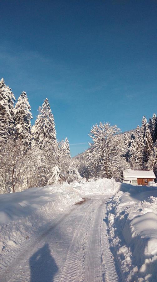 Apartmán La Perle Au Bord De La Riviere Gérardmer Exteriér fotografie