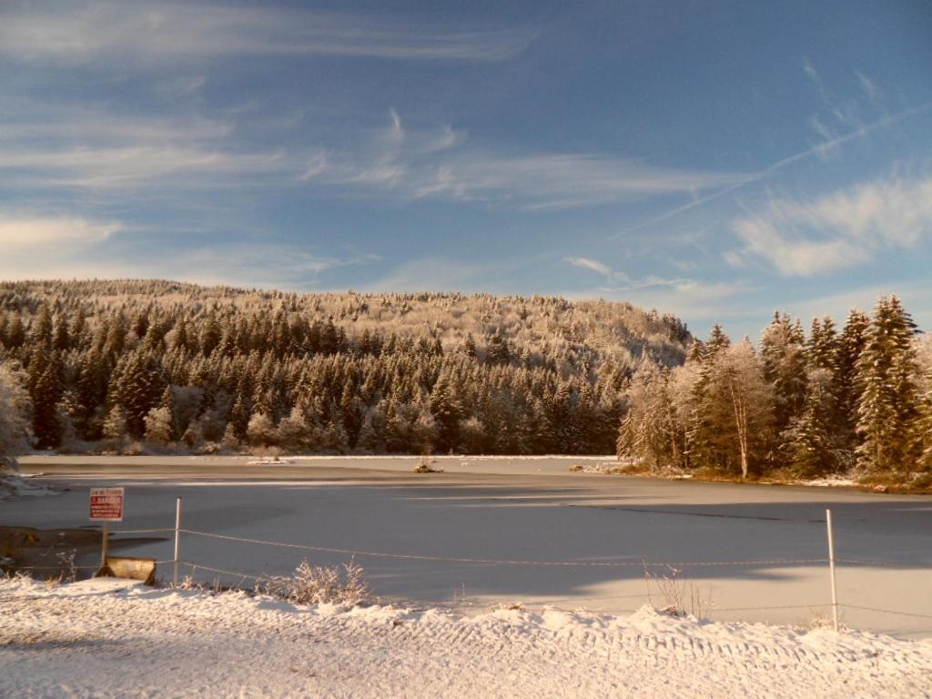 Apartmán La Perle Au Bord De La Riviere Gérardmer Exteriér fotografie