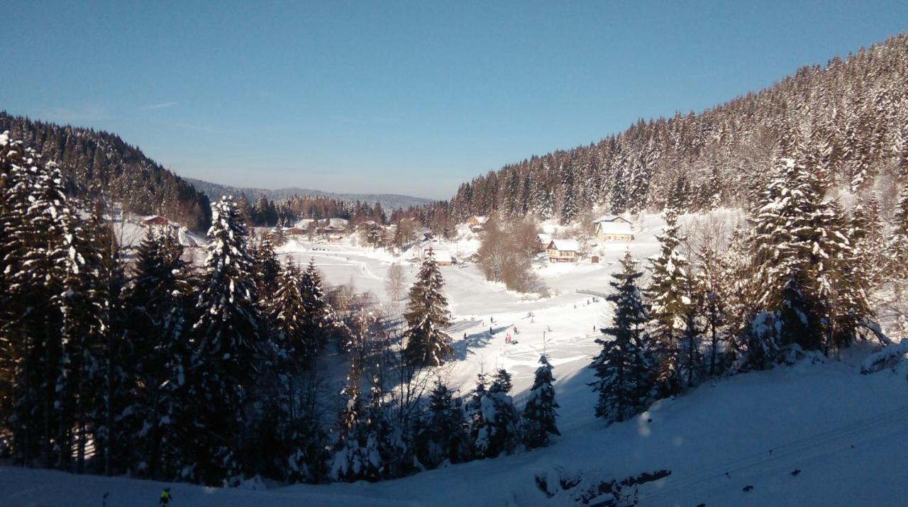 Apartmán La Perle Au Bord De La Riviere Gérardmer Exteriér fotografie