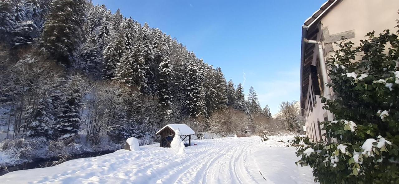 Apartmán La Perle Au Bord De La Riviere Gérardmer Exteriér fotografie