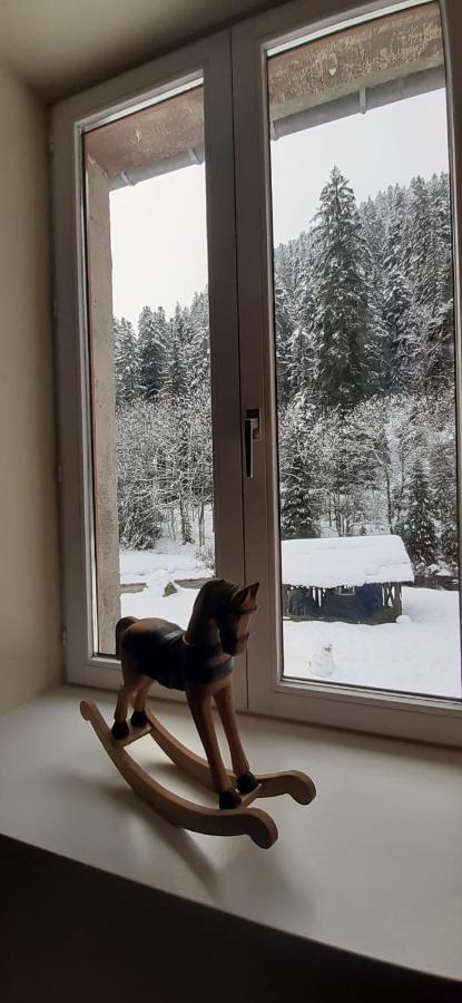 Apartmán La Perle Au Bord De La Riviere Gérardmer Exteriér fotografie